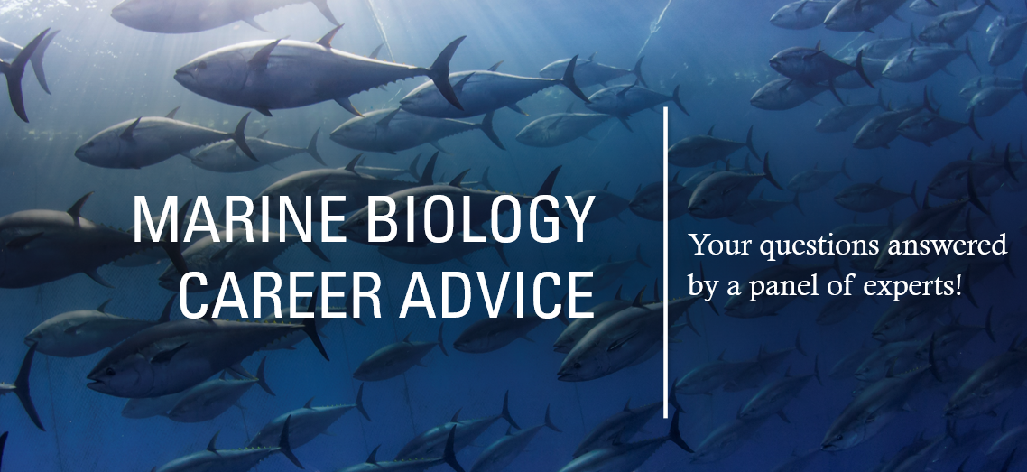 Marine Biology Career Advice
